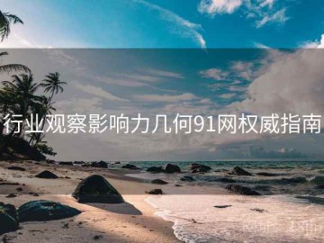 行业观察影响力几何91网权威指南