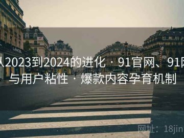 从2023到2024的进化 · 91官网、91网与用户粘性 · 爆款内容孕育机制