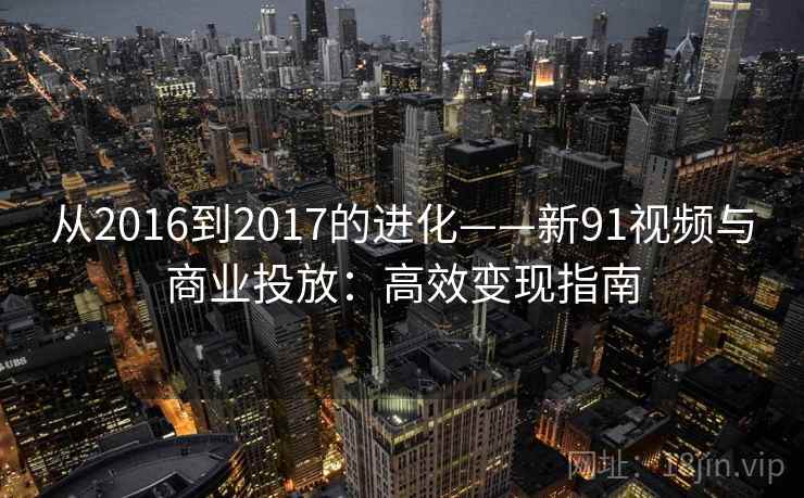 从2016到2017的进化——新91视频与商业投放：高效变现指南