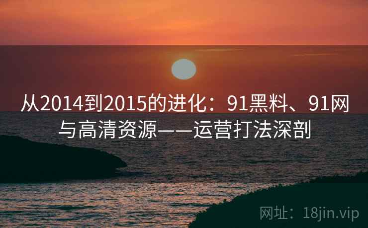 从2014到2015的进化：91黑料、91网与高清资源——运营打法深剖