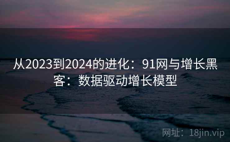 从2023到2024的进化：91网与增长黑客：数据驱动增长模型