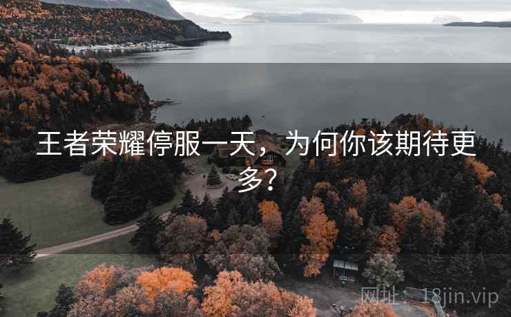 王者荣耀停服一天，为何你该期待更多？