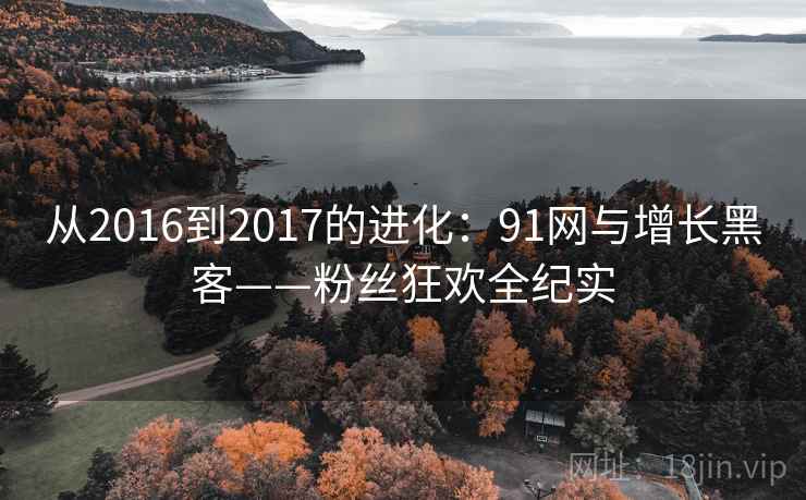 从2016到2017的进化：91网与增长黑客——粉丝狂欢全纪实