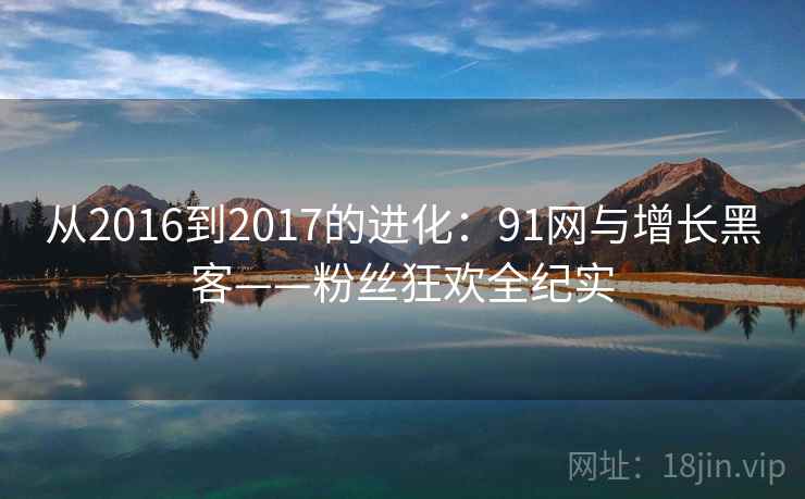 从2016到2017的进化：91网与增长黑客——粉丝狂欢全纪实
