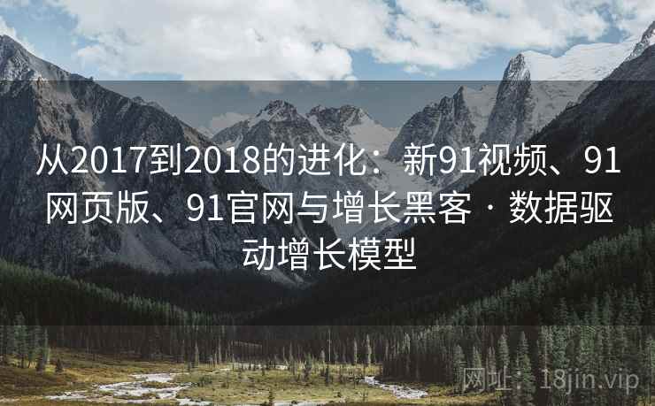 从2017到2018的进化：新91视频、91网页版、91官网与增长黑客 · 数据驱动增长模型