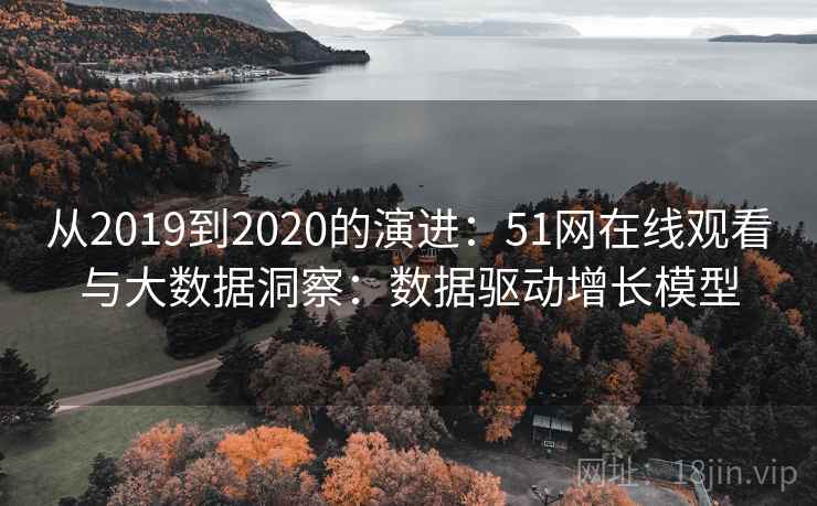 从2019到2020的演进：51网在线观看与大数据洞察：数据驱动增长模型