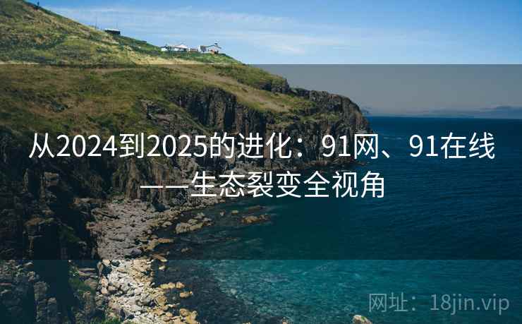 从2024到2025的进化：91网、91在线——生态裂变全视角