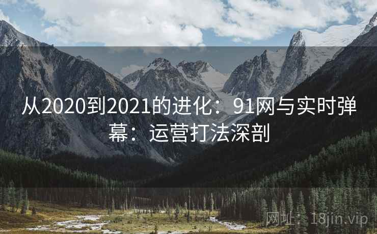 从2020到2021的进化：91网与实时弹幕：运营打法深剖