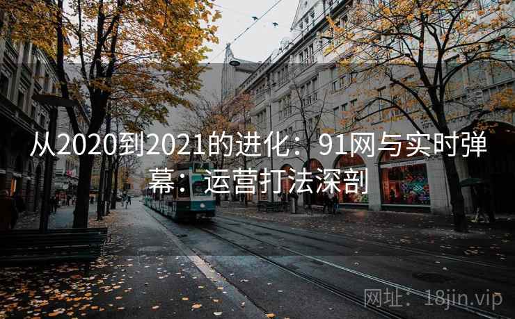 从2020到2021的进化：91网与实时弹幕：运营打法深剖