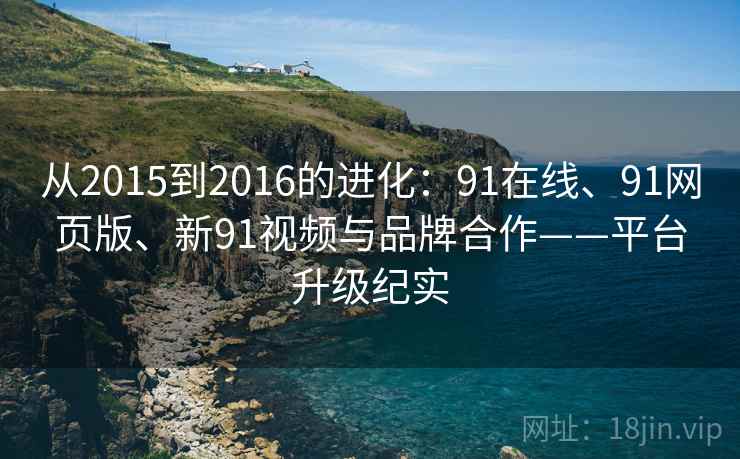 从2015到2016的进化：91在线、91网页版、新91视频与品牌合作——平台升级纪实