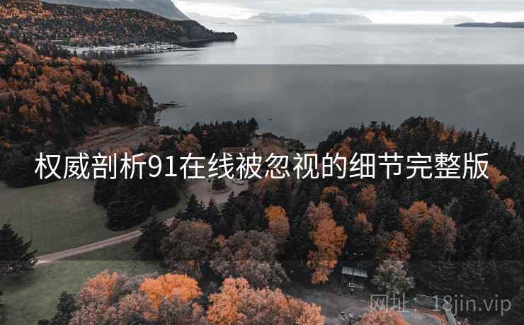 权威剖析91在线被忽视的细节完整版
