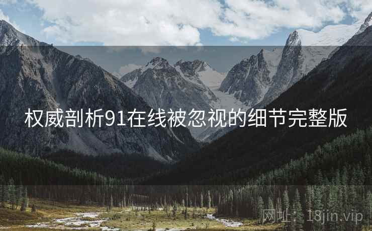 权威剖析91在线被忽视的细节完整版