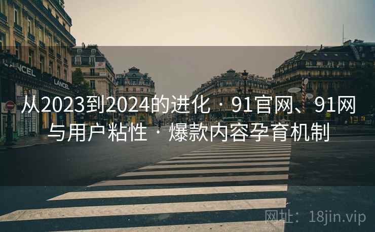 从2023到2024的进化 · 91官网、91网与用户粘性 · 爆款内容孕育机制