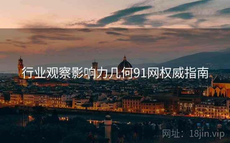行业观察影响力几何91网权威指南