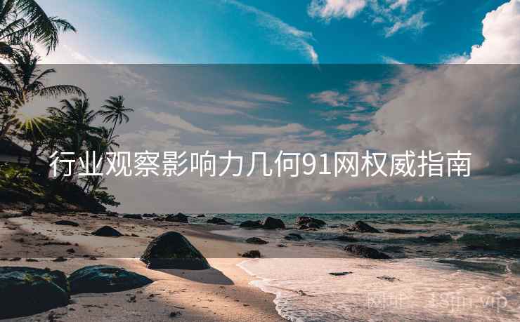 行业观察影响力几何91网权威指南