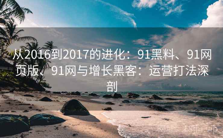 从2016到2017的进化：91黑料、91网页版、91网与增长黑客：运营打法深剖