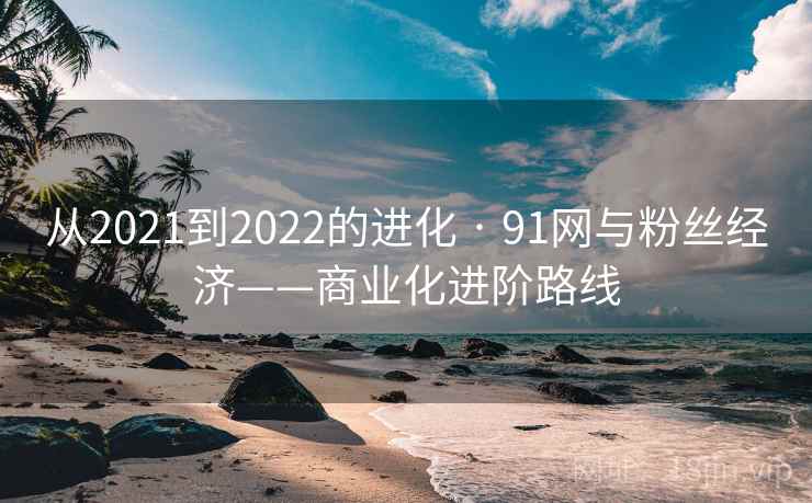 从2021到2022的进化 · 91网与粉丝经济——商业化进阶路线