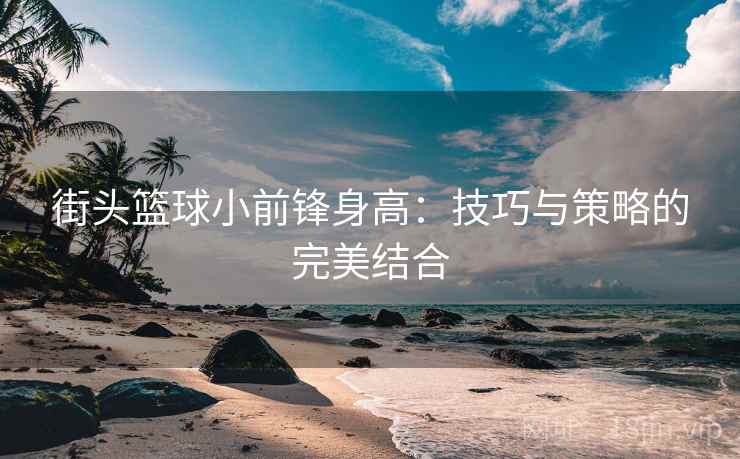 街头篮球小前锋身高：技巧与策略的完美结合