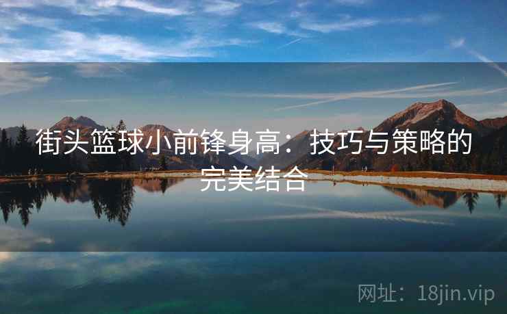 街头篮球小前锋身高：技巧与策略的完美结合