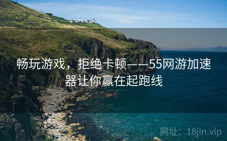畅玩游戏，拒绝卡顿——55网游加速器让你赢在起跑线