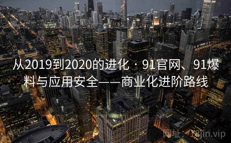 从2019到2020的进化 · 91官网、91爆料与应用安全——商业化进阶路线