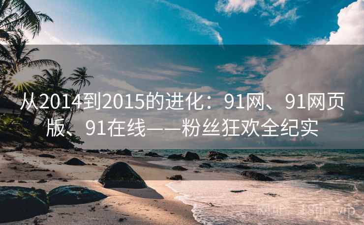 从2014到2015的进化：91网、91网页版、91在线——粉丝狂欢全纪实