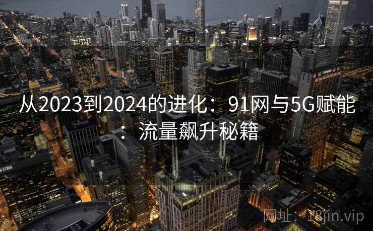 从2023到2024的进化：91网与5G赋能：流量飙升秘籍